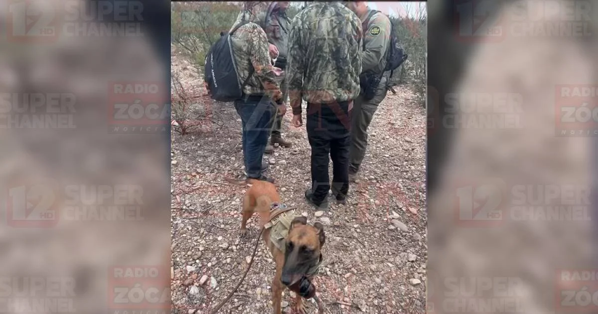 Proyecto nuevo (30).jpg