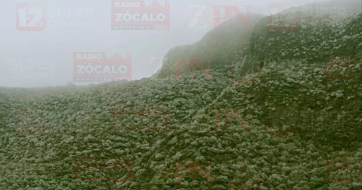 Proyecto nuevo (3).jpg