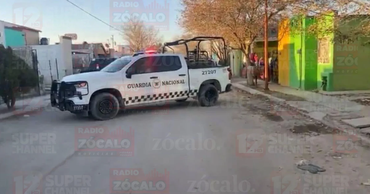 Cateo interior (1).png