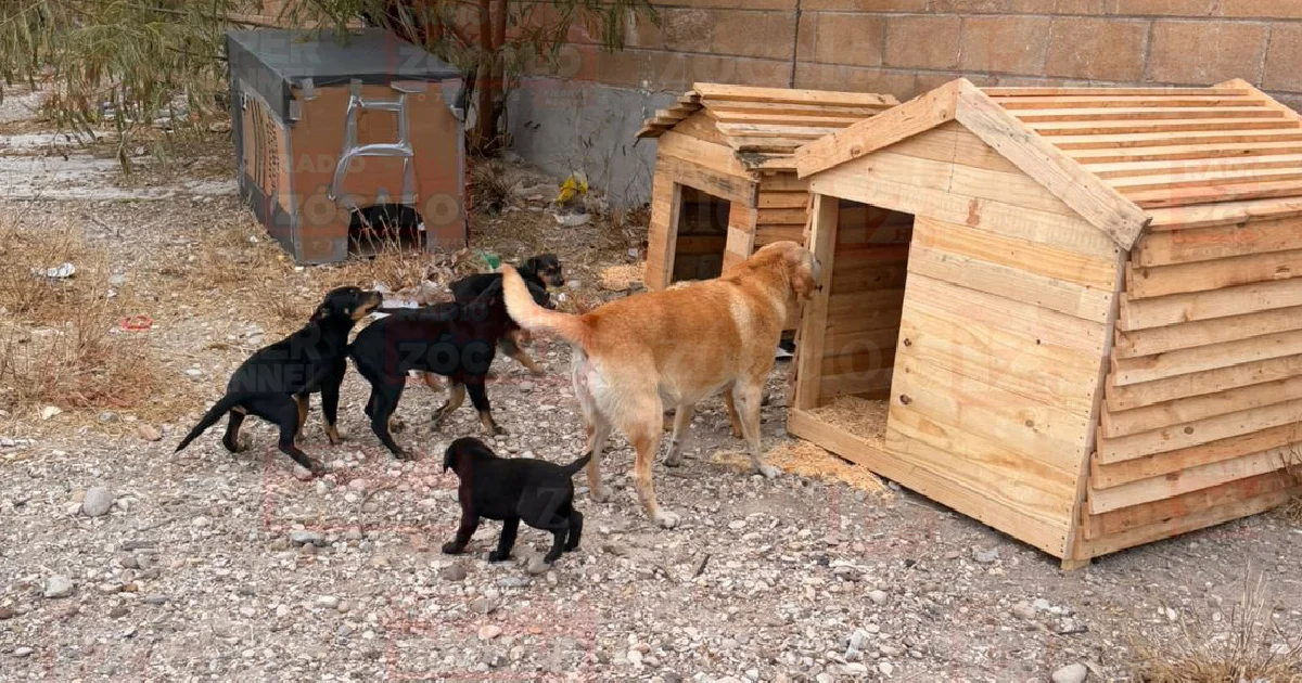 Proyecto nuevo (12).jpg