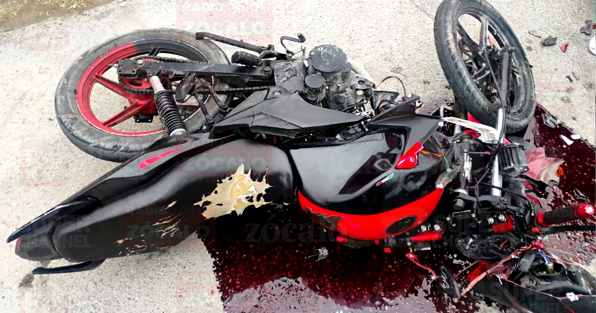 Proyecto nuevo (5).jpg