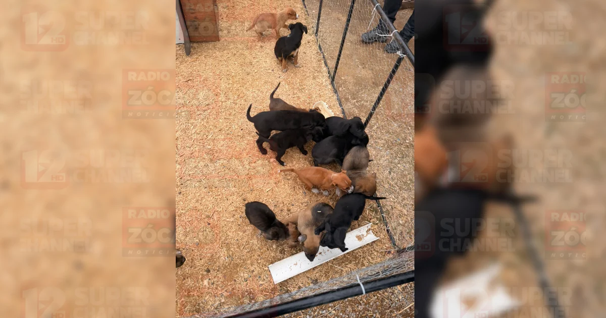 Proyecto nuevo (9).jpg