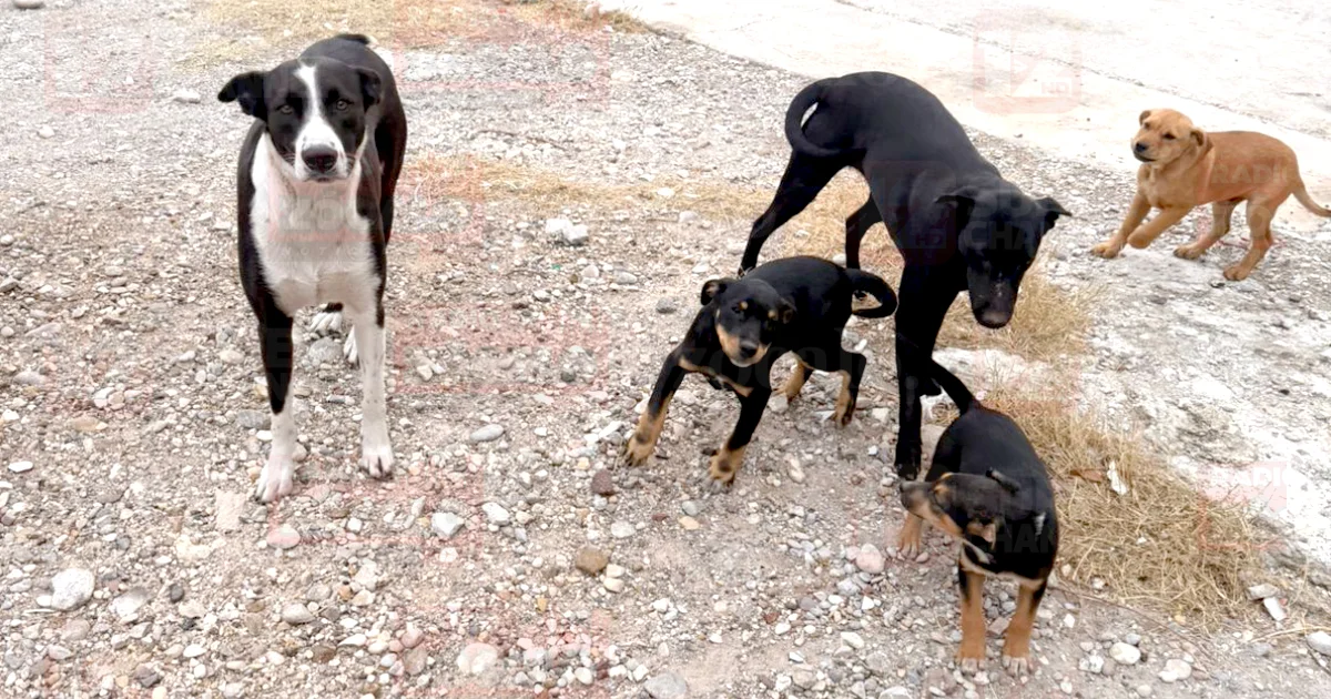 Proyecto nuevo (10).jpg