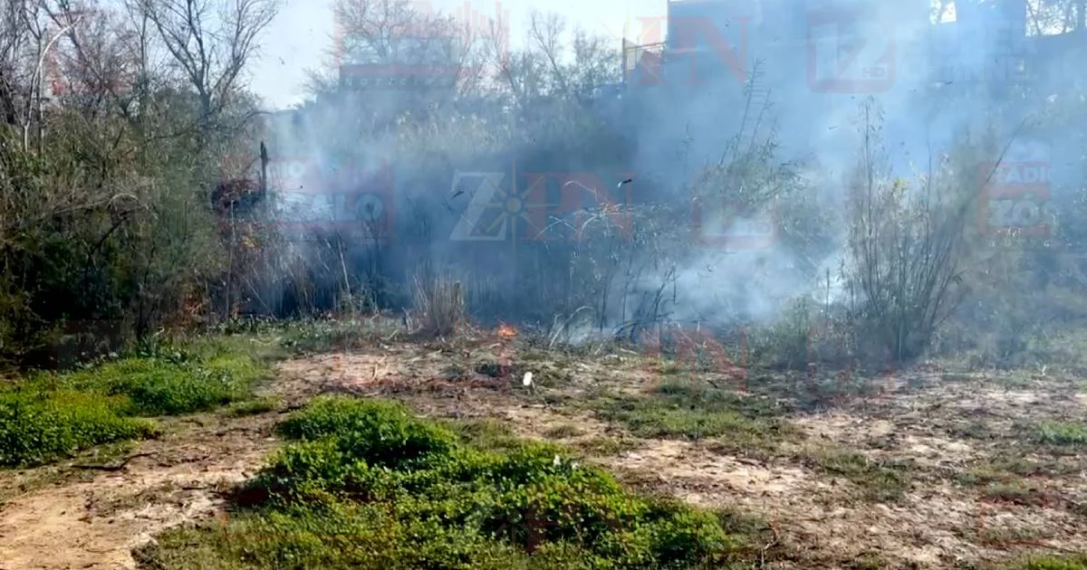 Proyecto nuevo (37).jpg