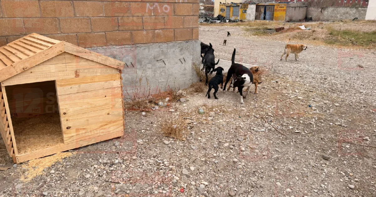 Proyecto nuevo (11).jpg