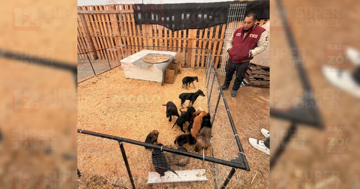 Proyecto nuevo (5).jpg