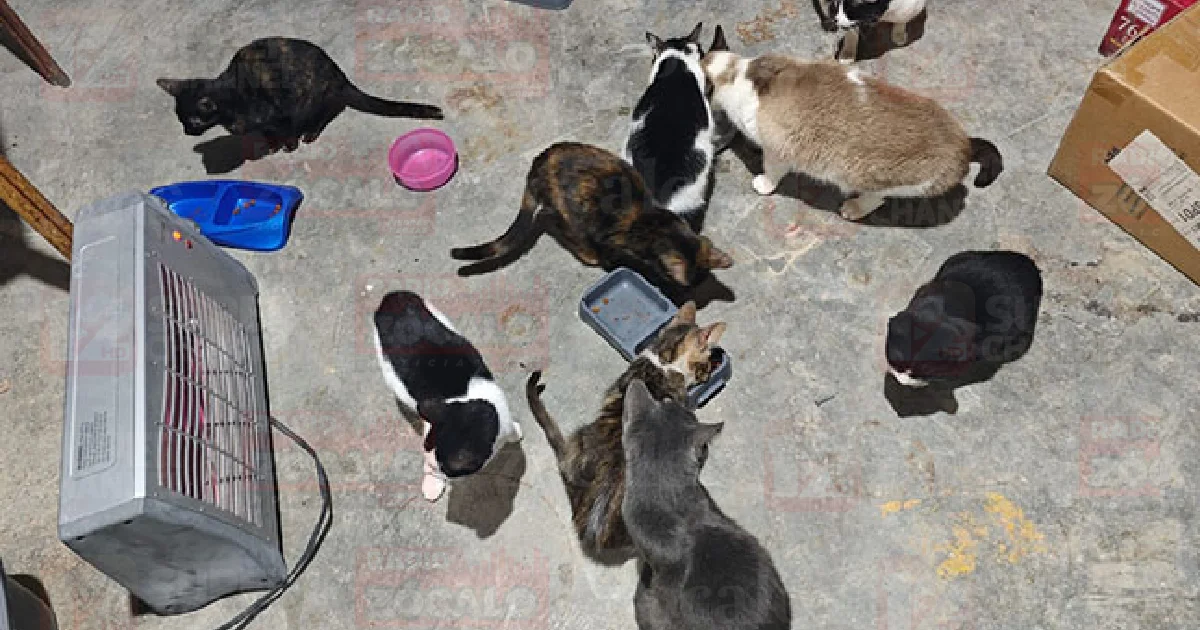 Proyecto nuevo (5).jpg