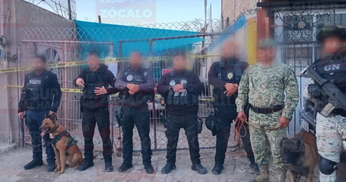 WhatsApp Image 2026-02-09 at 1.52.09 PM (2).jpeg