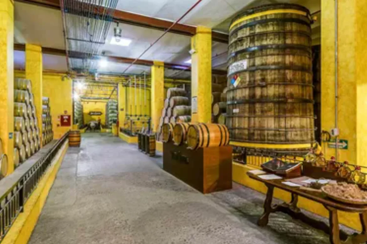 Captura de pantalla 2026-02-14 a la(s) 9.23.43 p.m..png