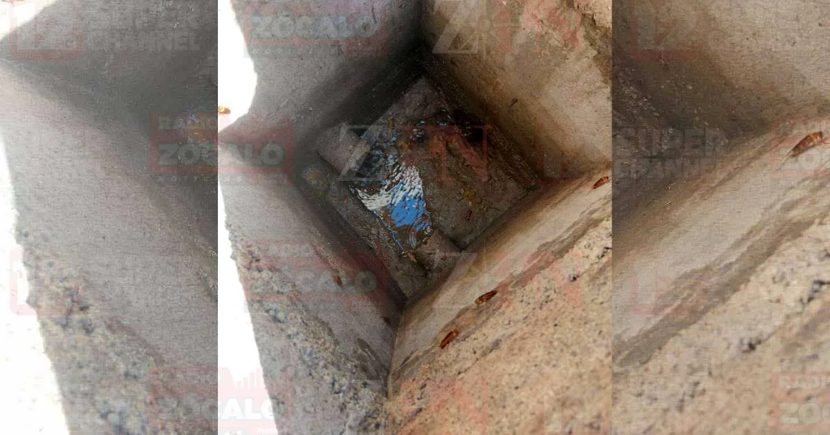 Copia de Proyecto nuevo (8).jpg