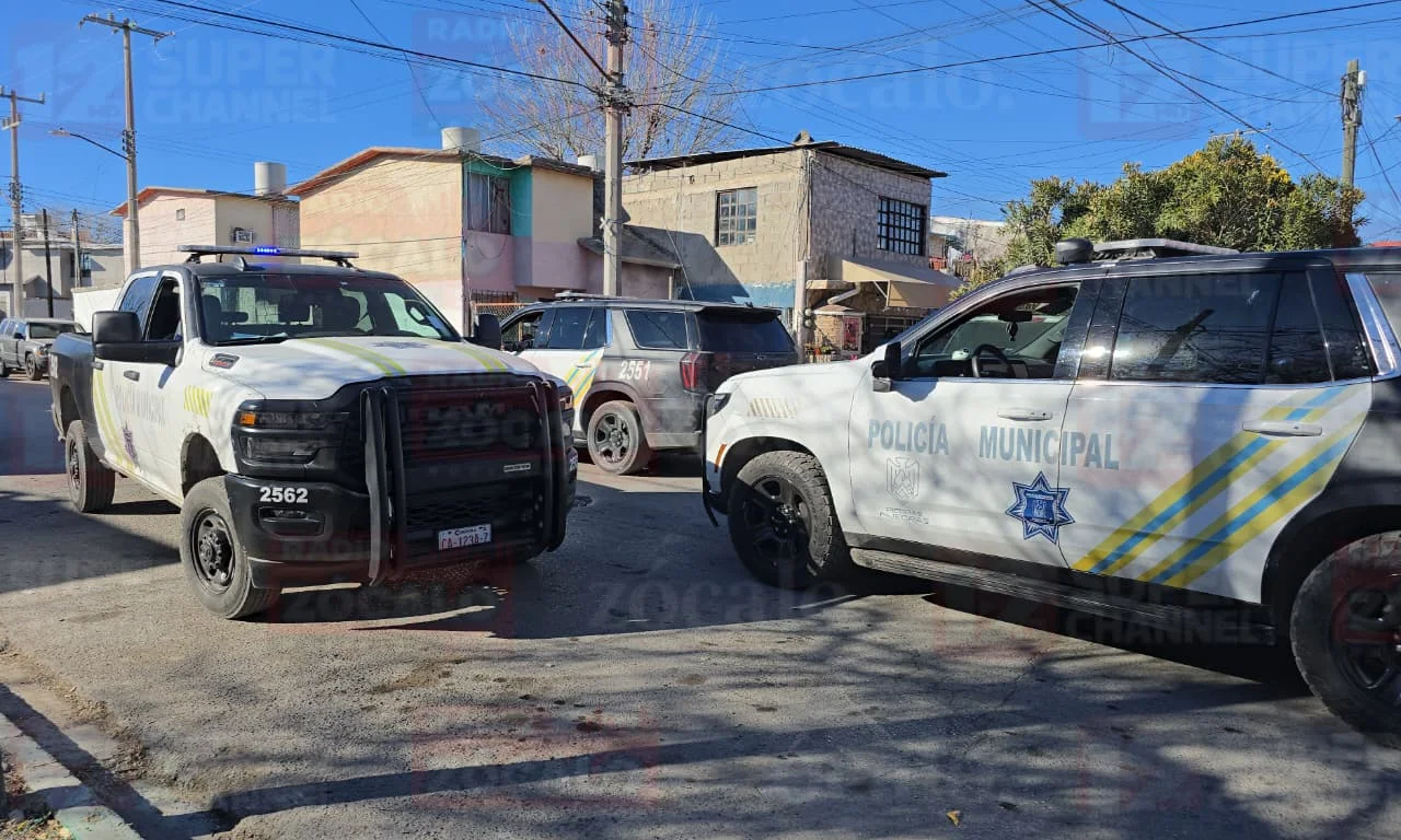 WhatsApp Image 2026-02-06 at 4.07.09 PM.jpeg