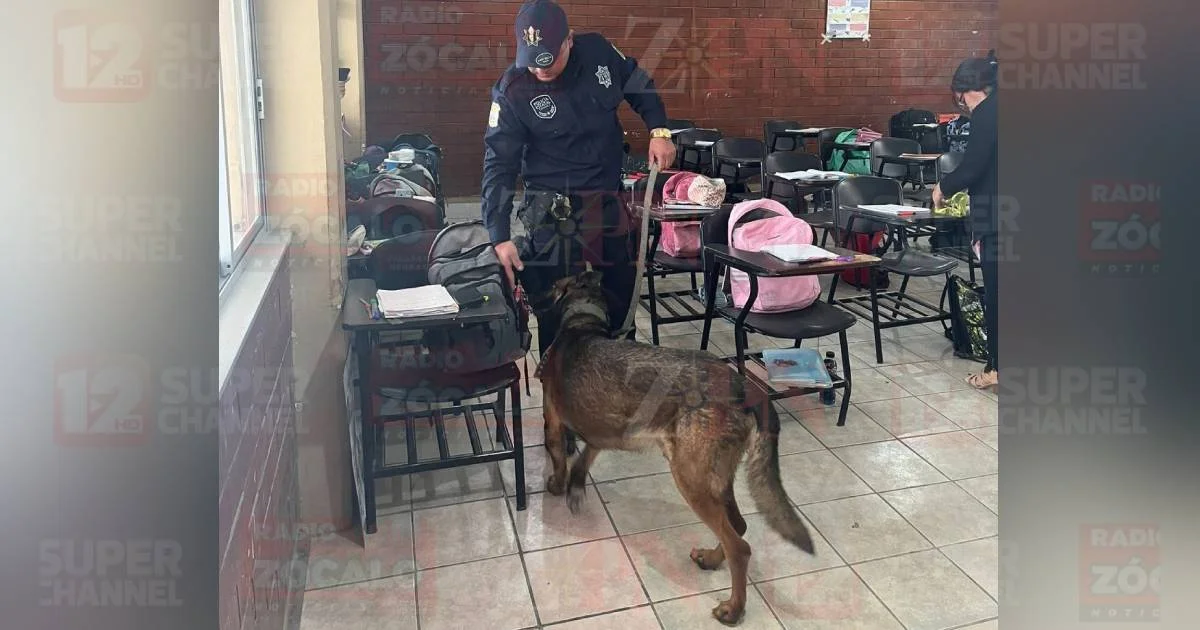 Proyecto nuevo (20).jpg