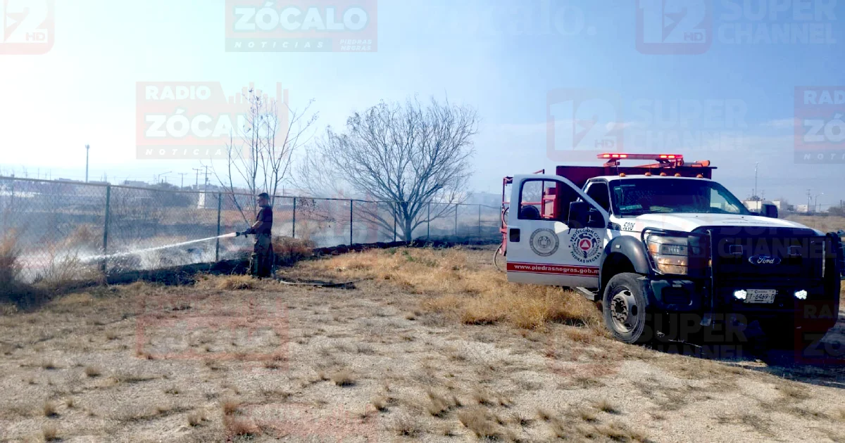 Copia de Proyecto nuevo.jpg