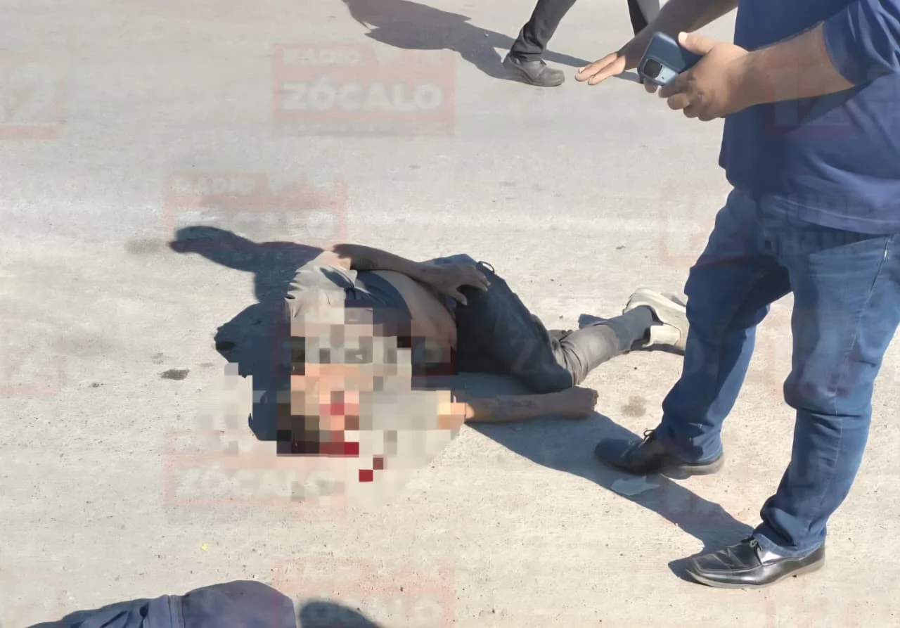 WhatsApp Image 2026-02-11 at 4.02.16 PM.jpeg