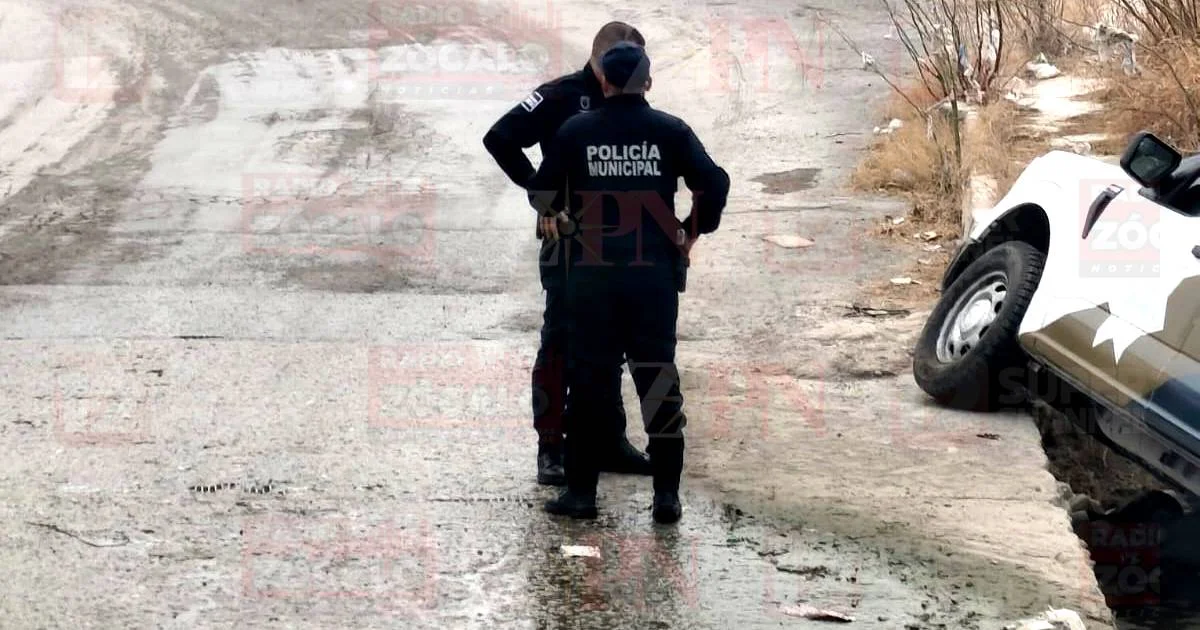 Copia de Proyecto nuevo (15).jpg