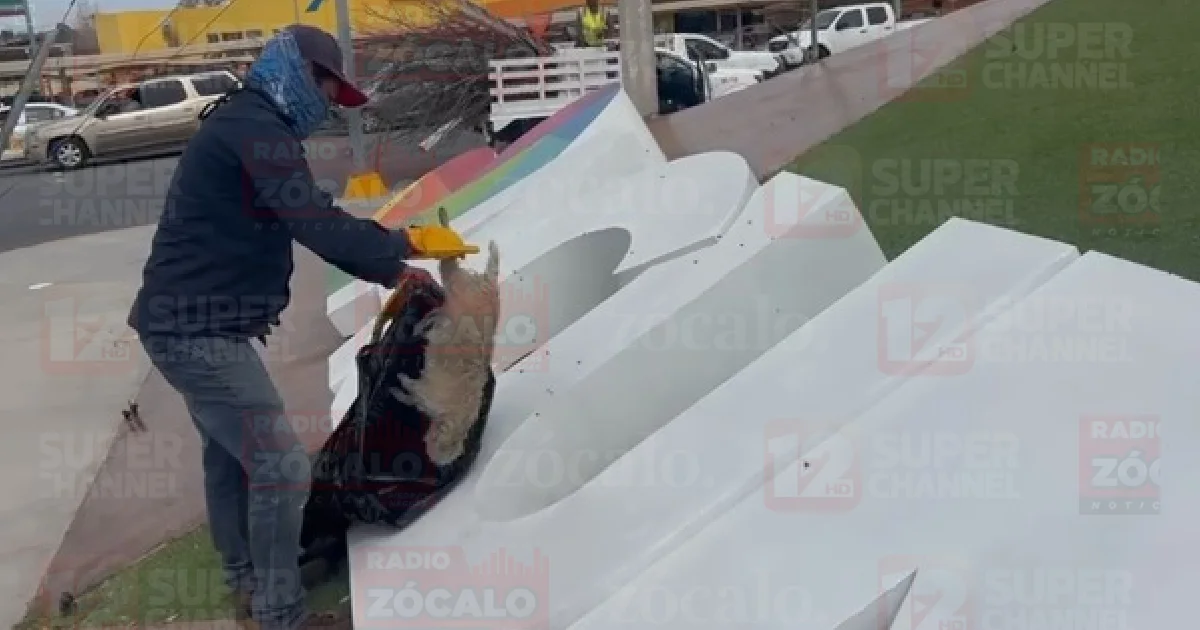 Proyectofcfc nuevo.jpg