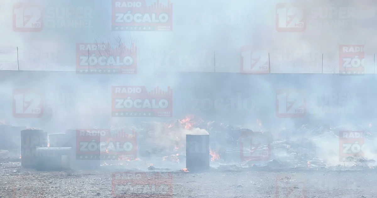 Proyeefecto nuevo.jpg