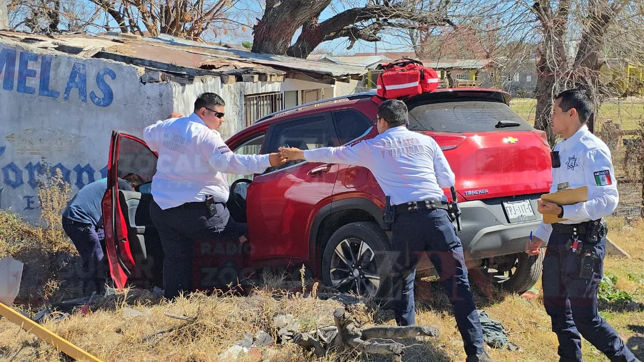 WhatsApp Image 2026-02-16 at 2.38.23 PM (1).jpeg