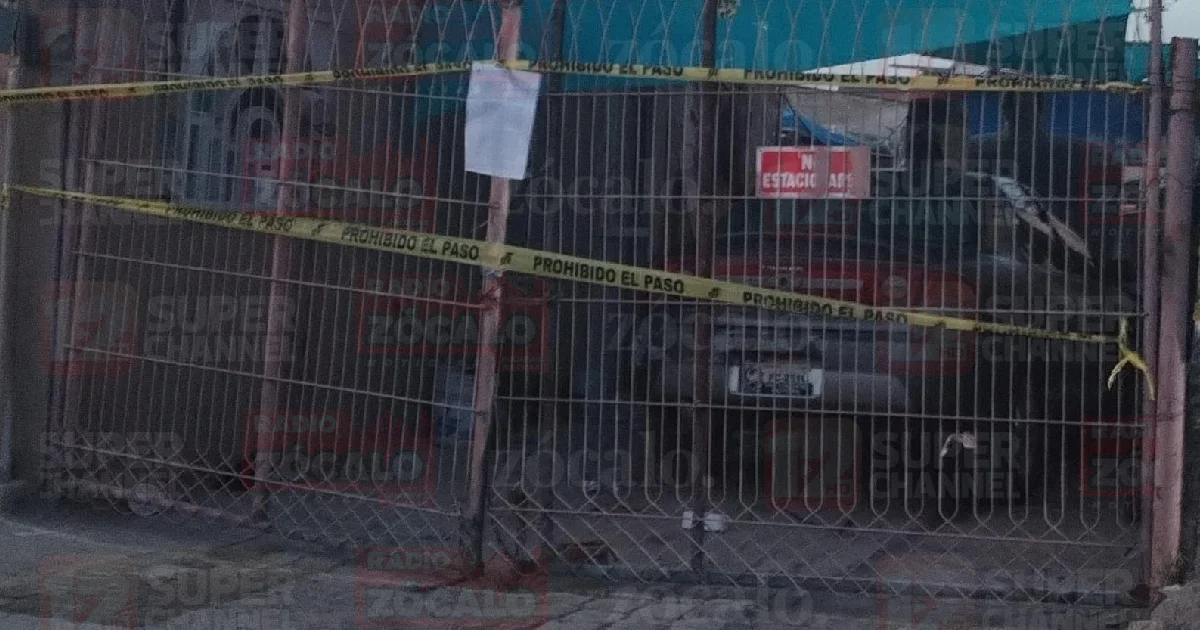 Cateo interior (3).png