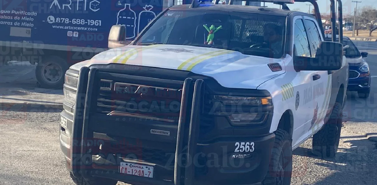 Cateo interior (2).png