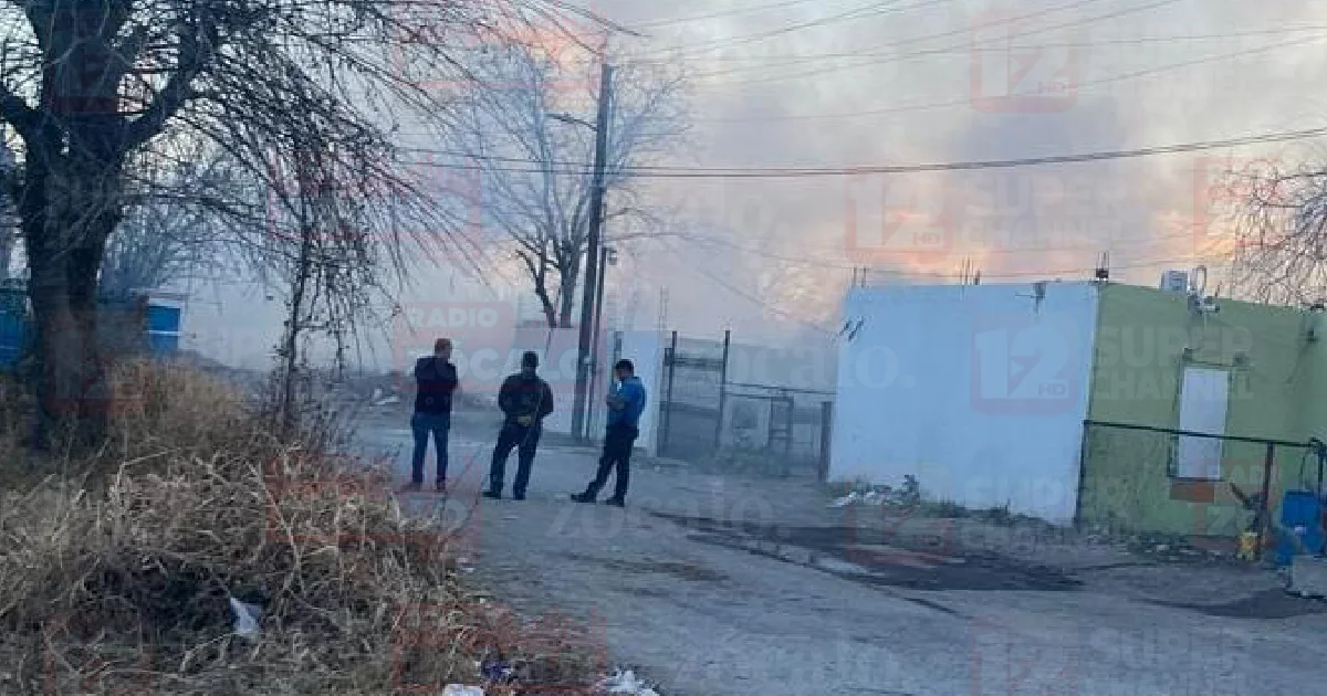 Proyecto nuevo (2).png