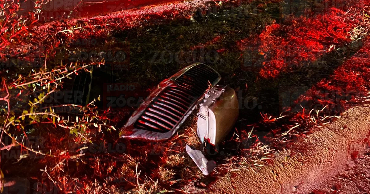 Proyecto nuevo (43).png