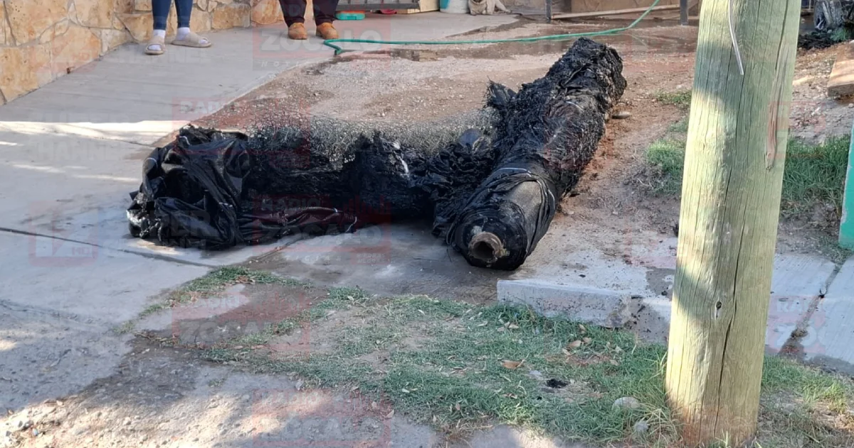 Proyecto nuevo (6).png