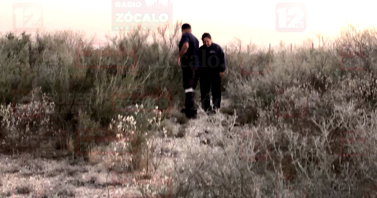 Proyecto nuevo (9).jpg