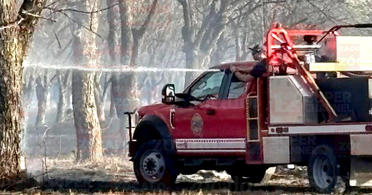 Proyecto nuevo (7).jpg