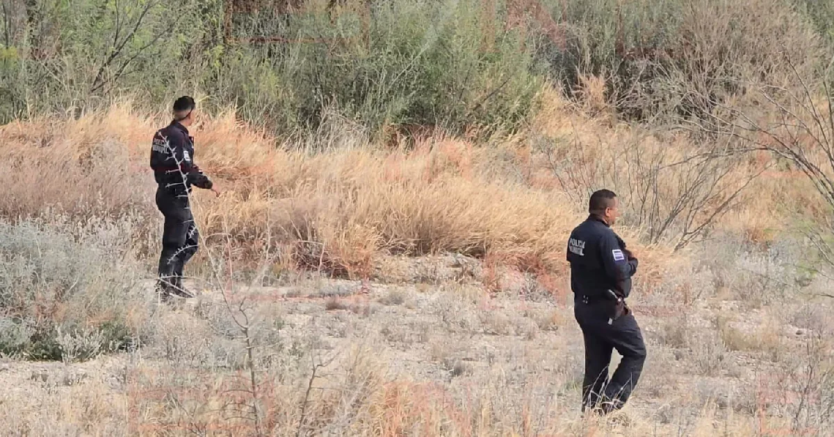 Proyecto nuevo (3).jpg