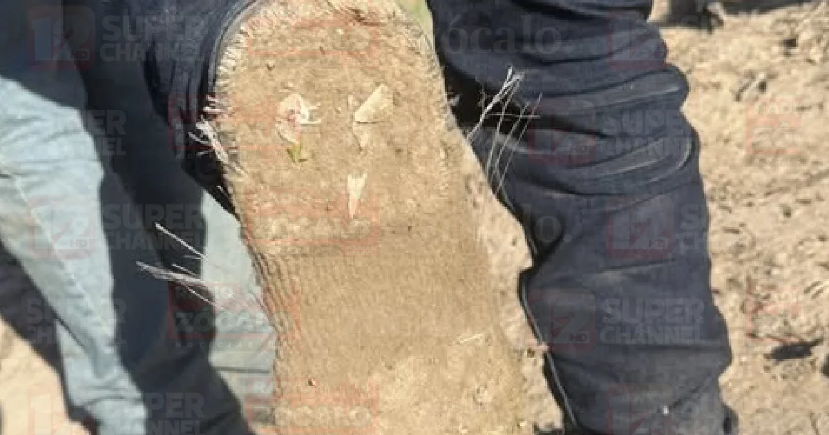 Proyecto nuevo (11).png