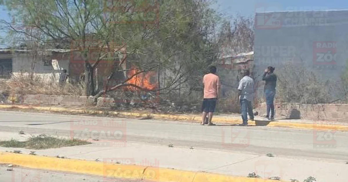 Proyecto nuevo (11).png