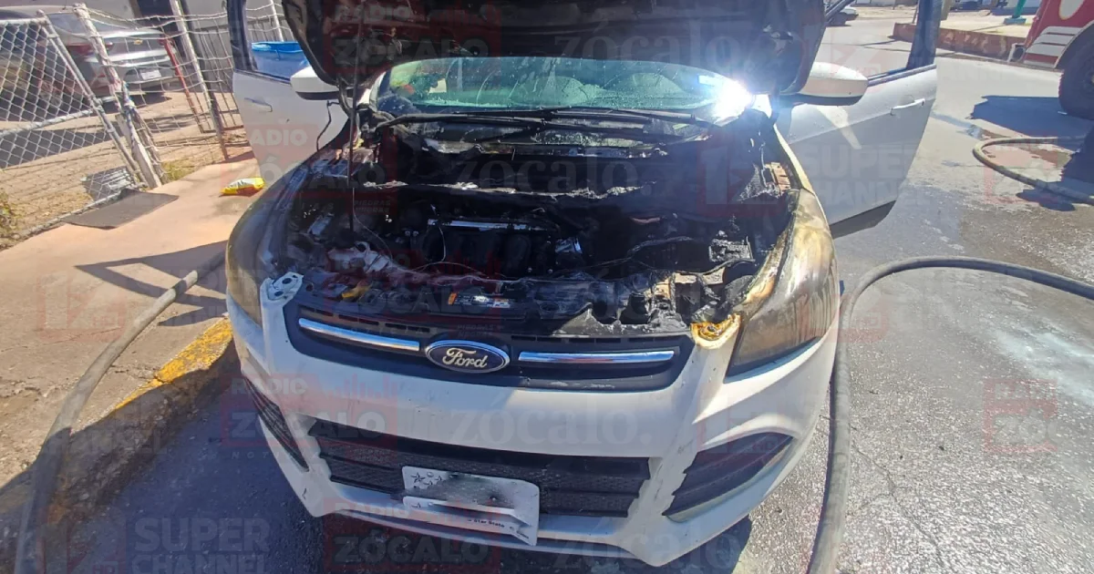 Proyecto nuevo (11).jpg