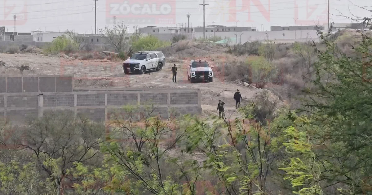 Proyecto nuevo (2).jpg