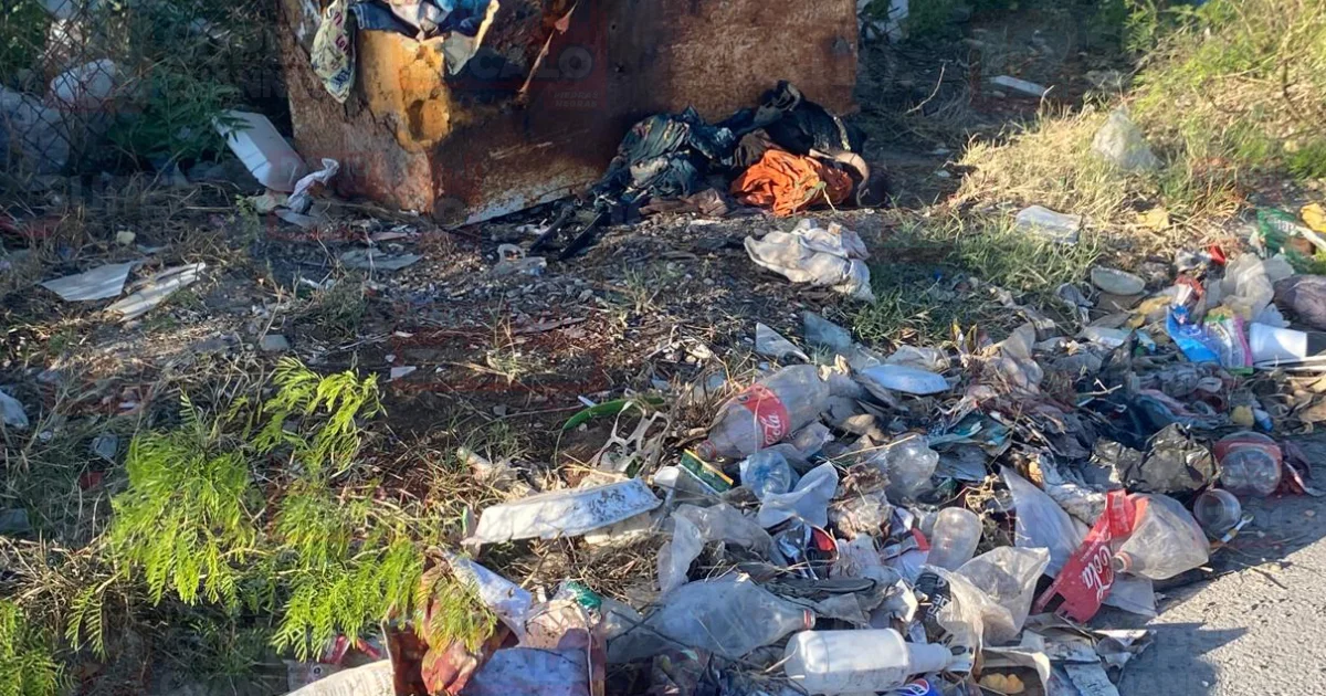 Proyecto nuevo (8).jpg