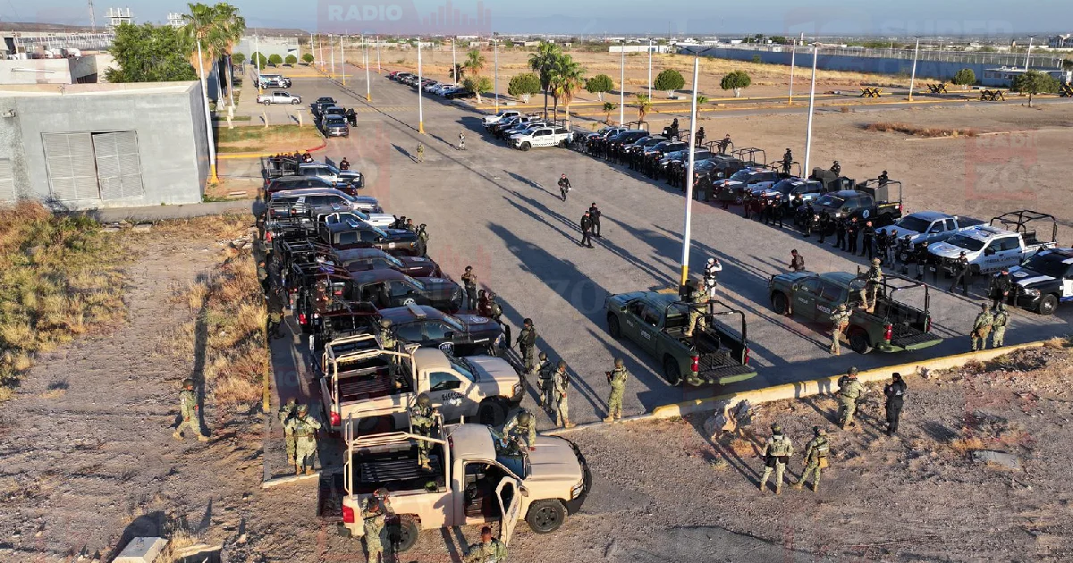 Proyectfefo nuevo.jpg