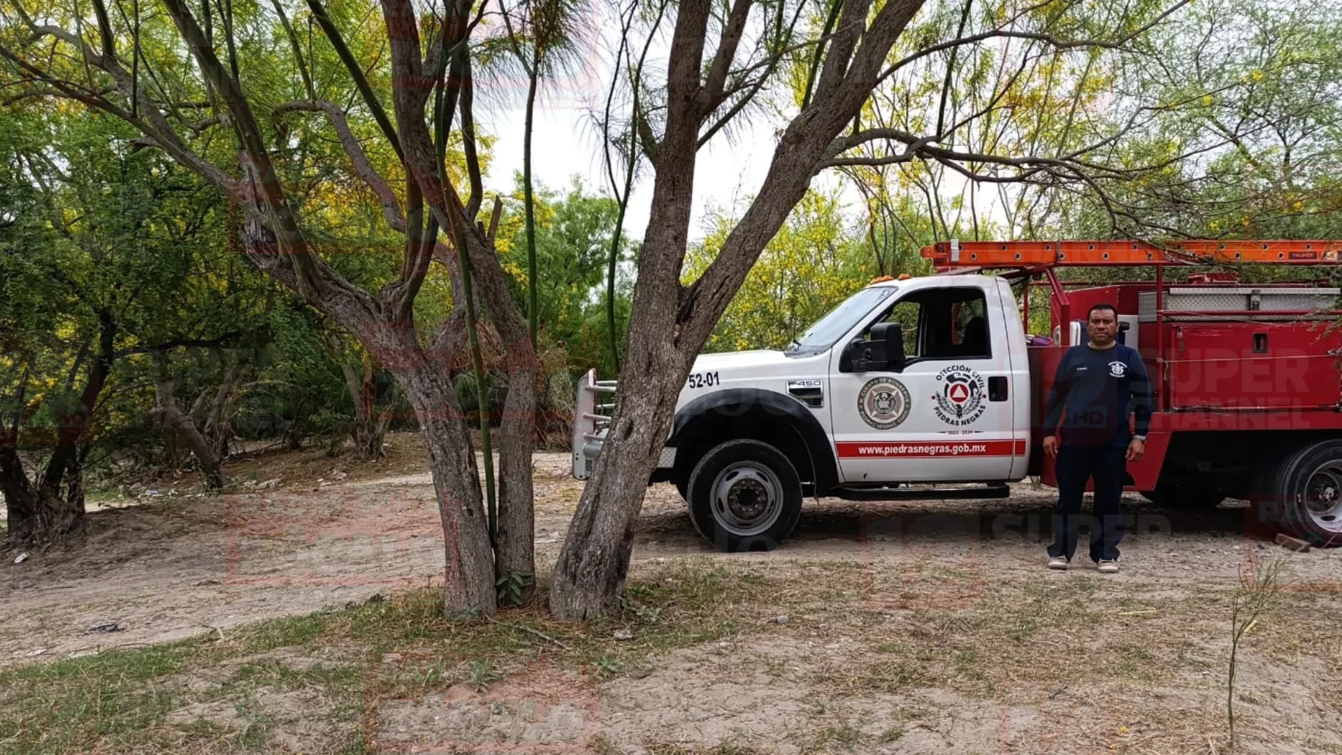 Proyecto nuevo (32).png