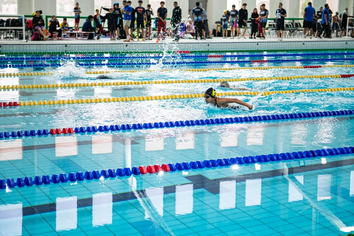 WhatsApp Image 2026-04-04 at 3.03.26 PM.jpeg