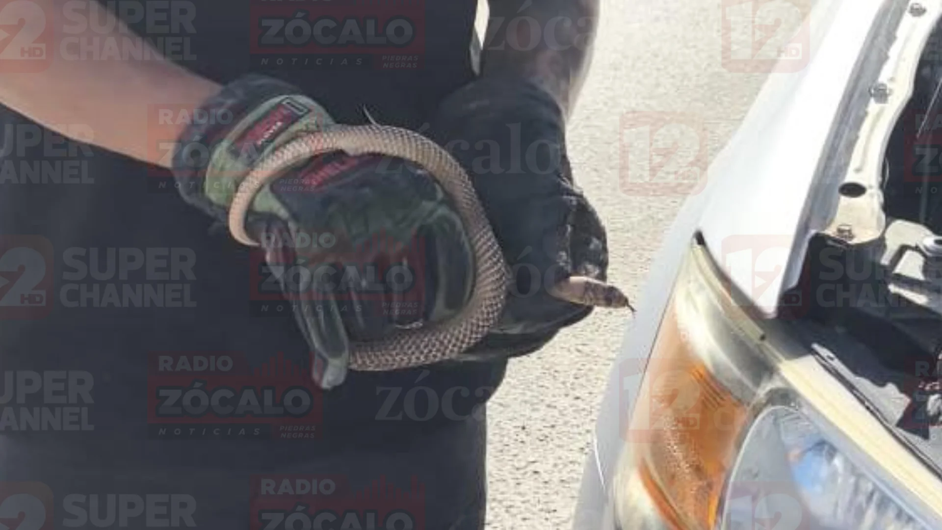 Proyecto nuevo (49).png