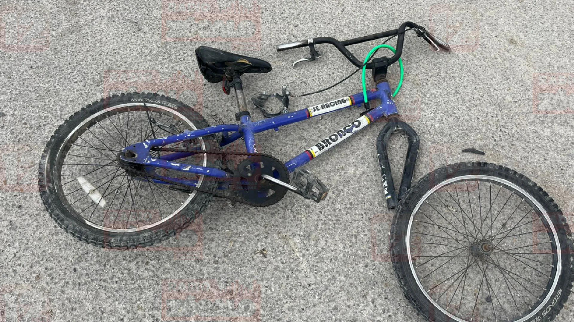 Proyecto nuevo (50).png