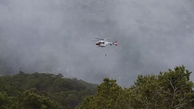 Suman 6 mil hectáreas afectadas por incendios