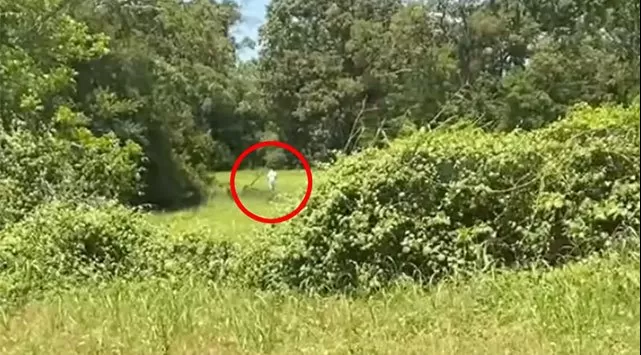 El recluso, que fue condenado por asesinato capital, se habÃ­a escapado antes. Las autoridades dijeron que estuvo prÃ³fugo durante nueve dÃ­as