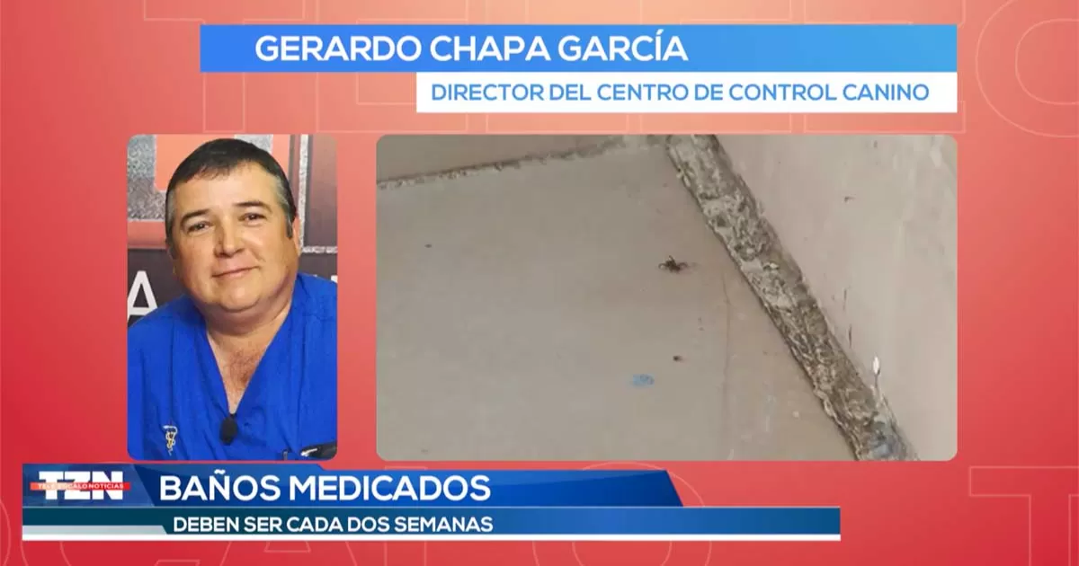 El veterinario Chapa GarcÃ­a seÃ±alÃ³ que es importante que las mascotas reciban baÃ±os medicados cada dos semanas y realizar fumigaciones frecuentes.