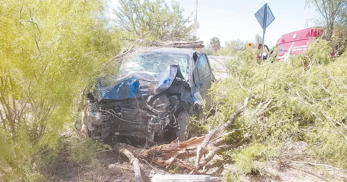Mujer se estampa en poste y da volteretas entre los matorrales en la carretera RibereÃ±a