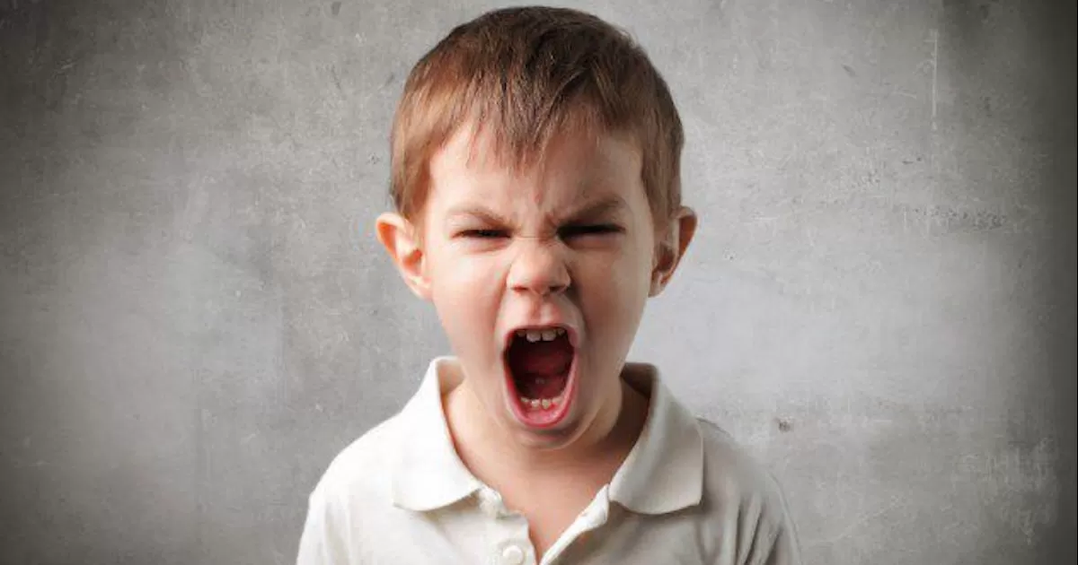 Se vio en la necesidad de pedir asesorÃ­a de quienes representan a la agencia de protecciÃ³n a vÃ­ctimas de violencia