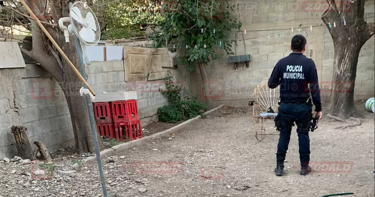 De acuerdo con la mujer que realizÃ³ el hallazgo, decidiÃ³ visitar a su cuÃ±ado para ver su estado, ya que Ã©l padecÃ­a de depresiÃ³n desde hace dos aÃ±os desde la muerte de su esposa.