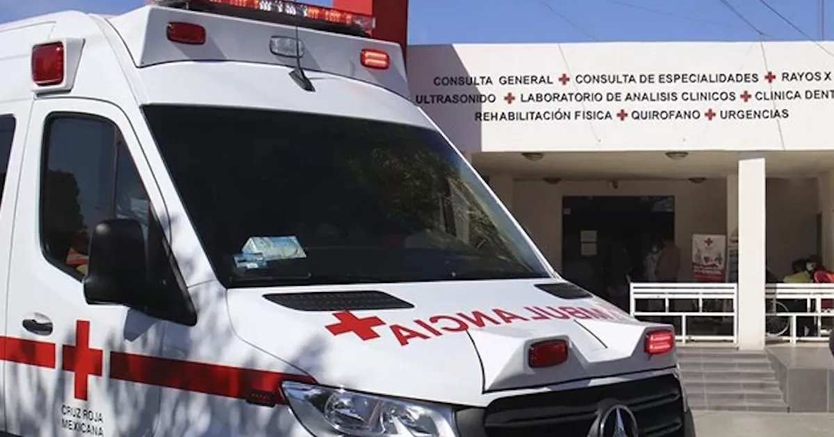 El joven tratÃ³ de esquivar al equino para no golpearlo, pero perdiÃ³ el control del volante y de saliÃ³ del camino