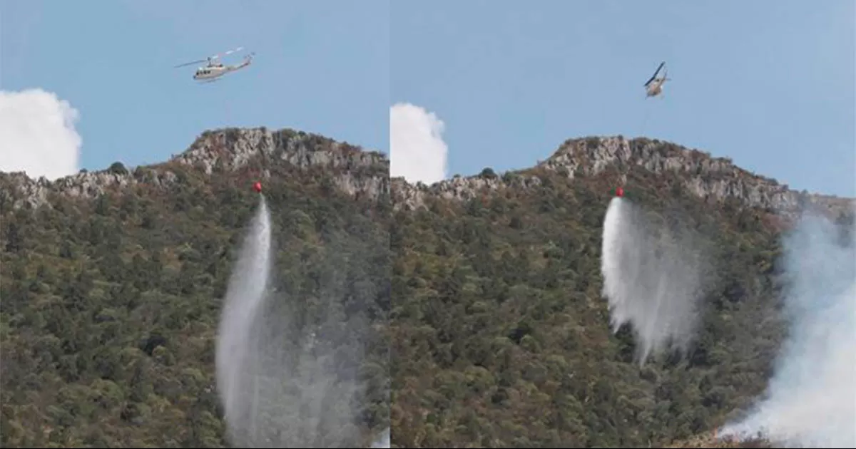 Brigadistas destacaron que la pronta atenciÃ³n es fundamental para evitar un daÃ±o mayor a la sierra.