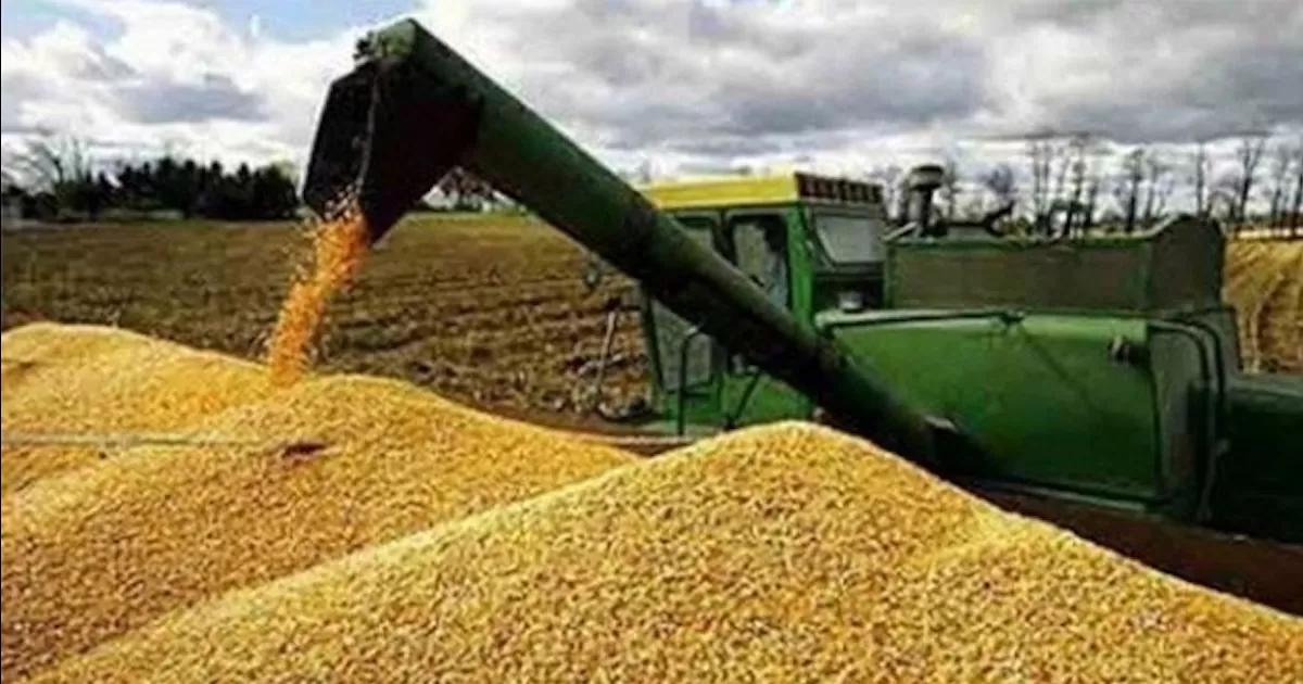 Encarecen 60% granos por guerra Rusia-Ucrania