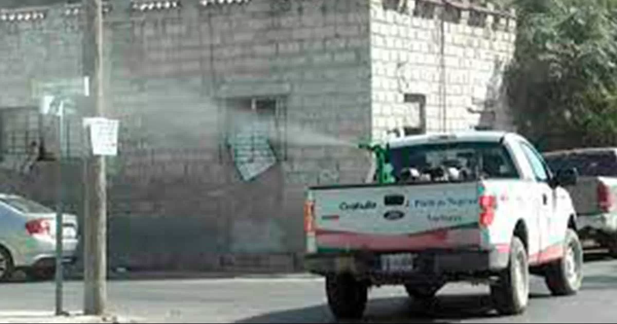 Departamento de Vectores inicia esta semana campaña intensa de fumigación y abatización, tras las lluvias